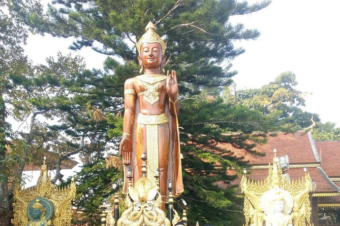 Chiang Mai Private Tour with Tea Plantation, Karen Village, Doi Suthep - The guides can make or break this long day