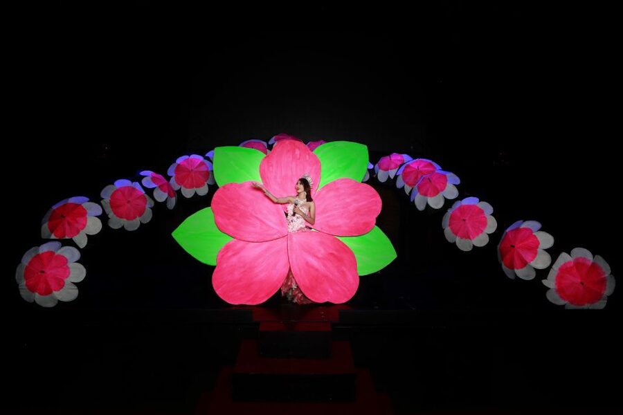 Chiang Mai: Siam Dragon Cabaret Show with Optional Transfer - What the 400-seat theater feels like