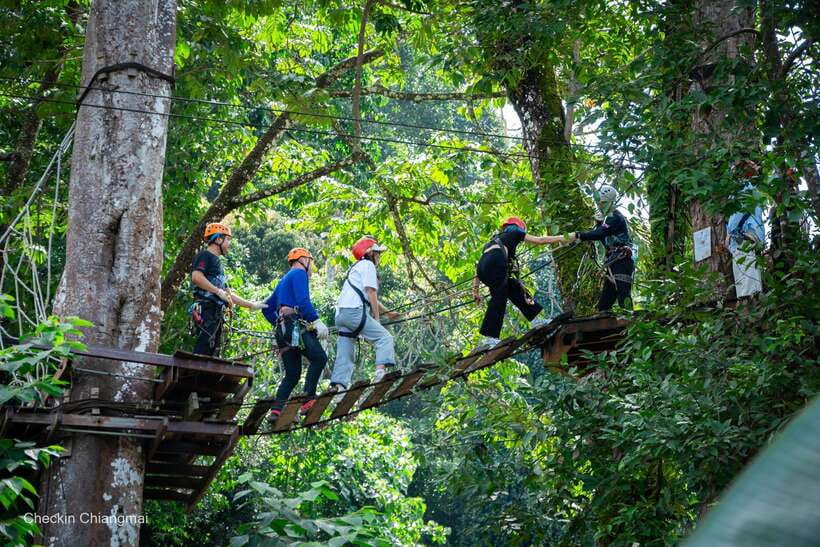 Chiang Mai: Sky Hawk Zipline Adventure With Optional ATV - What the Zipline Feels Like in the Forest
