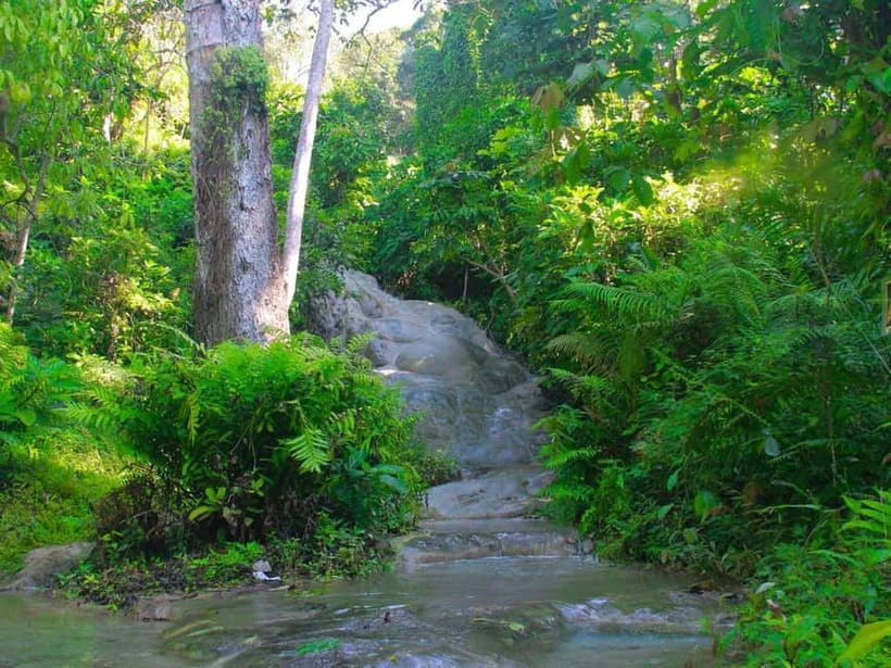 Chiang Mai: Sticky Waterfall by Local Truck with Market Stop - Free time at Bua Thong National Park