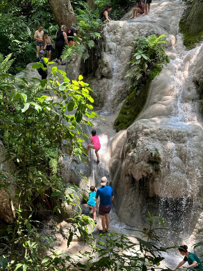 Chiang Mai : Sticky waterfall (Half Day Tour) Hotel Transfer - Why Bua Tong Waterfall is different