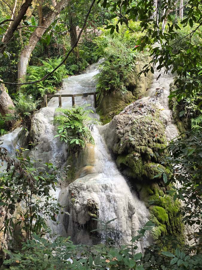 Chiang Mai : Sticky waterfall (Half Day Tour) Hotel Transfer - Morning or afternoon: choosing your departure