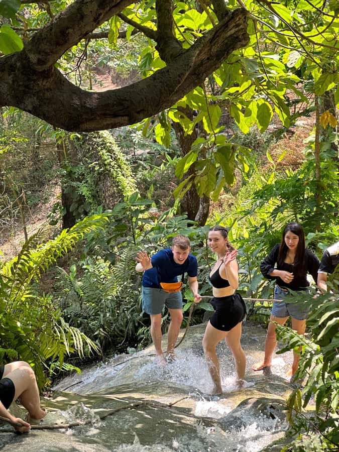Chiang Mai : Sticky waterfall (Half Day Tour) Hotel Transfer - Who will enjoy this half-day trip