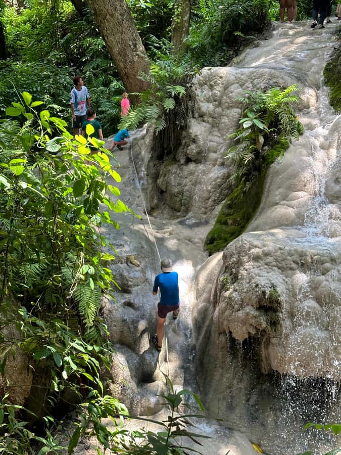 Chiang Mai : Sticky waterfall (Half Day Tour) Hotel Transfer - Should you book the Sticky Waterfall tour?