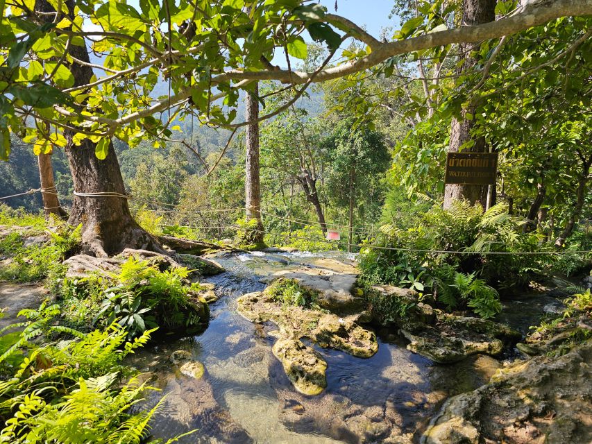 Chiang Mai: Sticky Waterfall Half-Day Tour & Hotel Transfers - Key points to know before you book