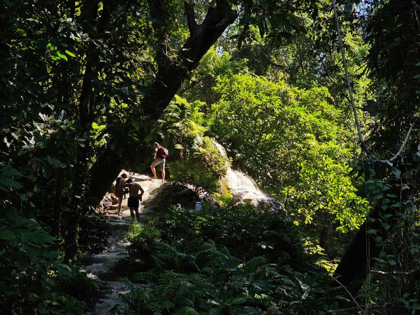 Chiang Mai: Sticky Waterfall Half-Day Tour & Hotel Transfers - Why Bua Thong Waterfall feels different