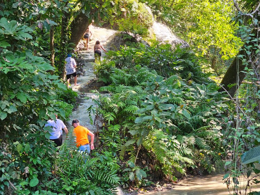 Chiang Mai: Sticky Waterfall Half-Day Tour & Hotel Transfers - How the two-hour waterfall visit works