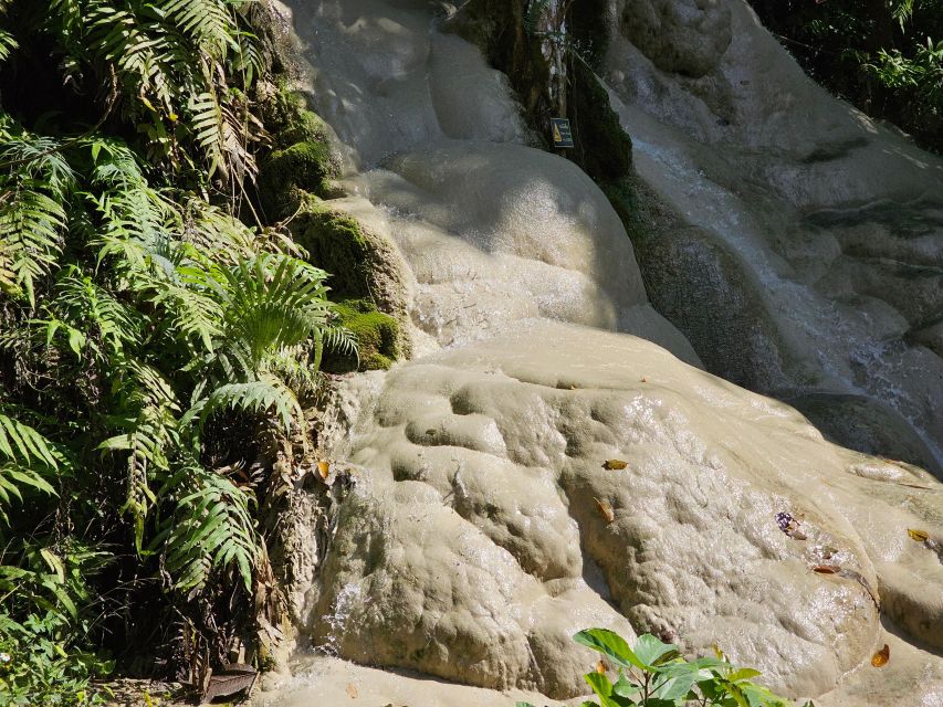 Chiang Mai: Sticky Waterfall Half-Day Tour & Hotel Transfers - Swimming, sitting, and getting wet