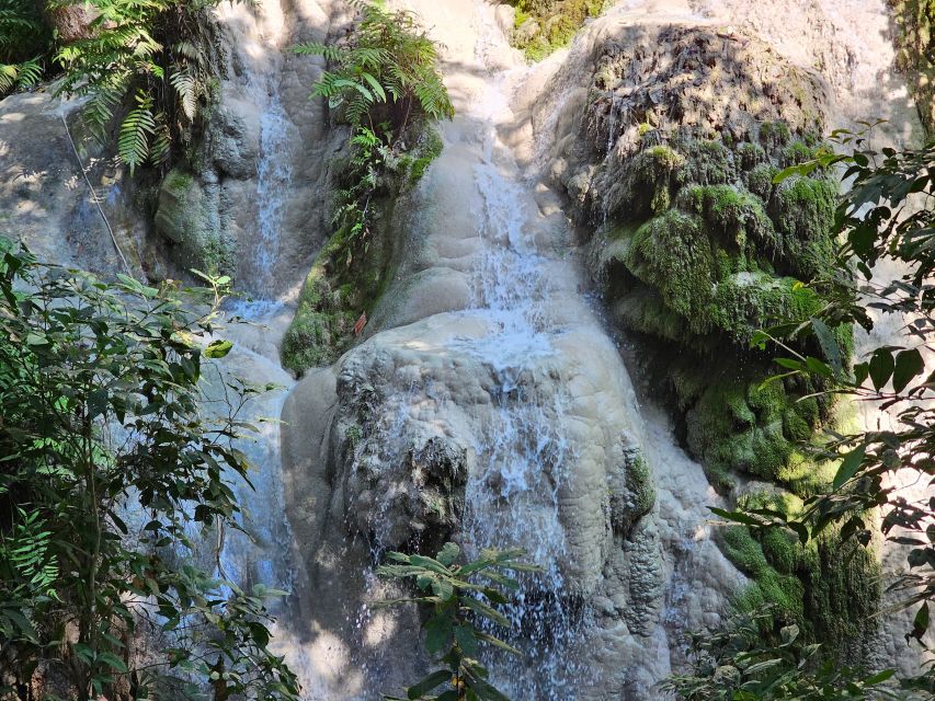 Chiang Mai: Sticky Waterfall Half-Day Tour & Hotel Transfers - No guide, and why that may be a good thing