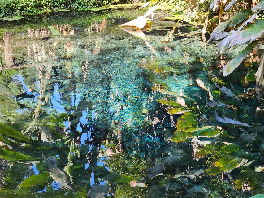 Chiang Mai: Sticky Waterfall Half-Day Tour & Hotel Transfers - What to pack for this half-day outing