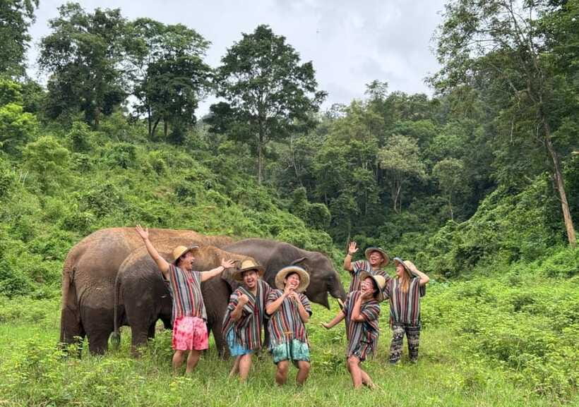 Chiang Mai | TeeTee Elephant Home Elephant Care Half-Day - Why the small number of elephants matters