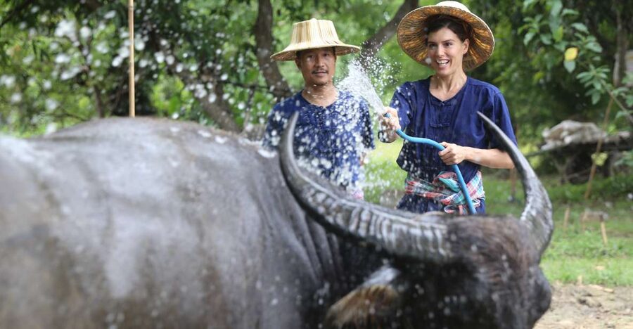 Chiang Mai: Thai Buffalo and Rice Planting Experience - Key points at a glance