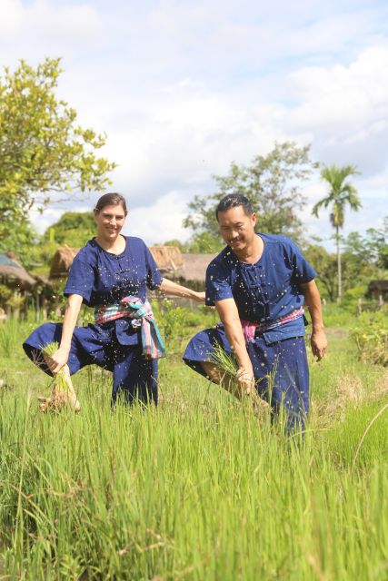 Chiang Mai: Thai Buffalo and Rice Planting Experience - Meeting Riam, the Thai buffalo