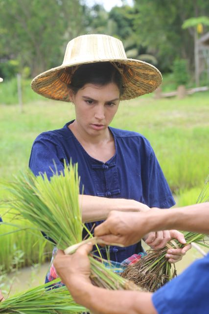 Chiang Mai: Thai Buffalo and Rice Planting Experience - What you eat after the fieldwork