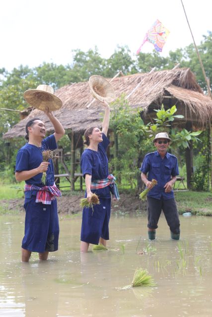 Chiang Mai: Thai Buffalo and Rice Planting Experience - Who should book this farm visit
