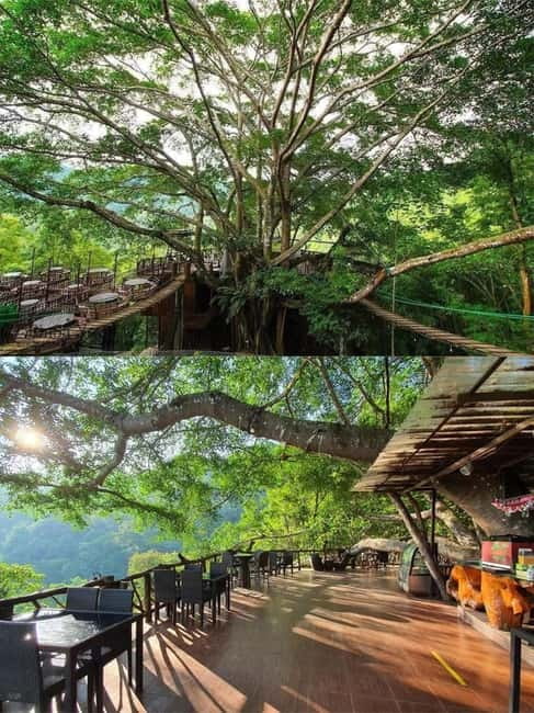 Chiang Mai: The Giant Café & Mae Kampong Village Day Trip - What makes this mountain day trip worth considering