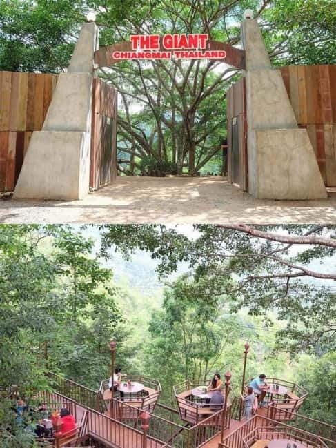 Chiang Mai: The Giant Café & Mae Kampong Village Day Trip - The Giant Chiangmai: a treetop finish