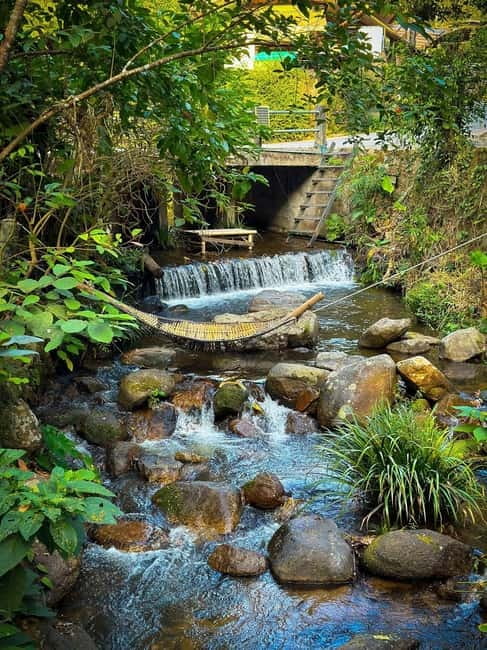 Chiang Mai: The Giant Café & Mae Kampong Village Day Trip - Booking flexibility and practical details