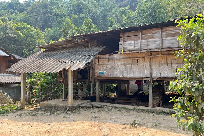 Chiang Mai to Doi Inthanon Full Day Shared Tour - Ang Ka Nature Trail: an easy walk through high forest