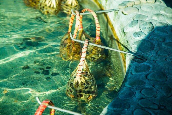 Chiang Mai to White & Blue Temple, Black Museum & Golden Triangle - Why this Chiang Rai day trip is worth considering