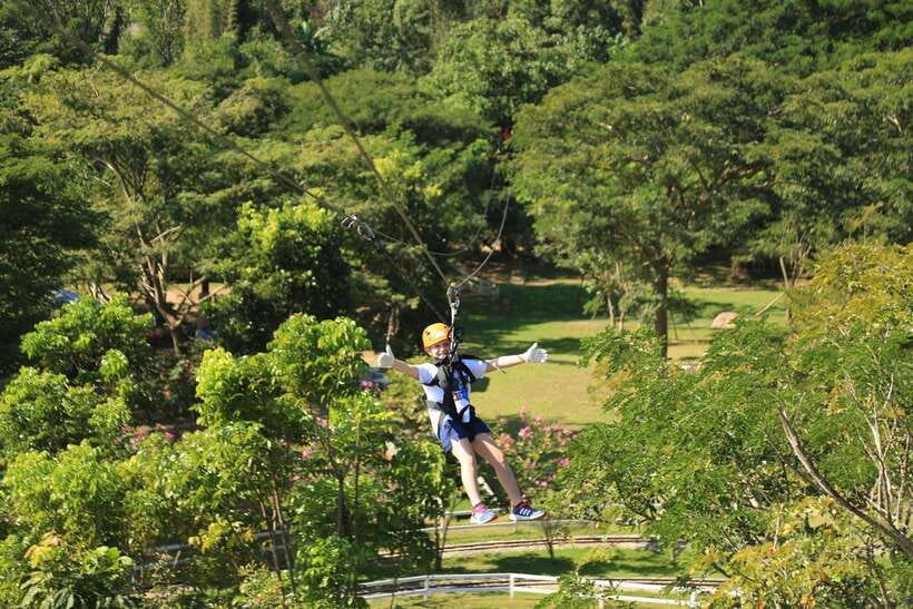Chiang Mai: Zipline & High Rope Park with Lunch & Transfer - The tiny train through flowers and farmland
