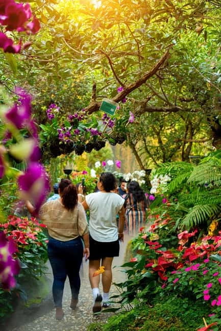 Chiang Rai: 3 Temples, Long Neck Village & Lalitta Café - Why this Chiang Rai day trip works