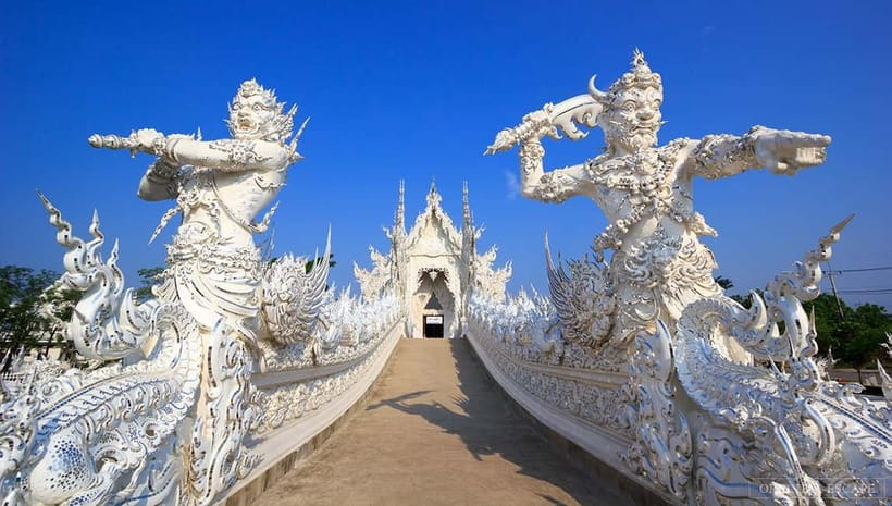 Chiang Rai: 7 Major Sites, Golden Triangle & Tea Plantation - Thai buffet lunch and dietary requests