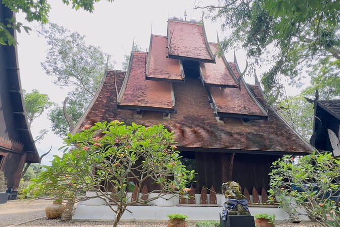 Chiang Rai: Discover 7 Must-See Spots & Lunch Buffet - Choui Fong Tea Plantation: a calmer change of pace