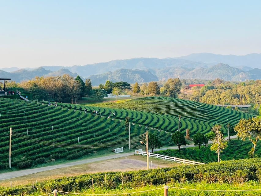 Chiang Rai: Discover 7 Must-See Spots & Lunch Included - Baan Dam Museum and Thawan Duchanee’s dark art