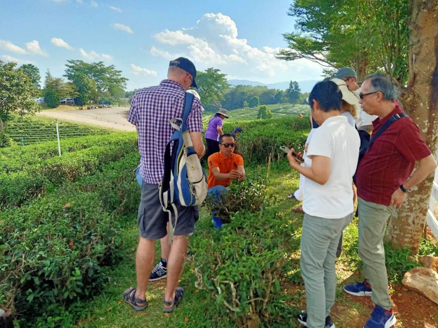 Chiang Rai Guide: Popular 7places 3Colors ,Golden Triangle - Guides, drivers, and the feel of the day