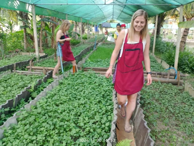 Chiang Rai:Lanna Home Cooking Class at Give Green Farm House - Give Green Farm House and its organic garden
