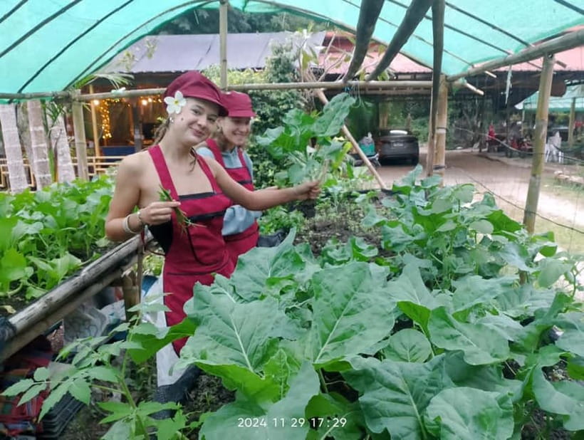 Chiang Rai:Lanna Home Cooking Class at Give Green Farm House - Vegetarian and allergy considerations