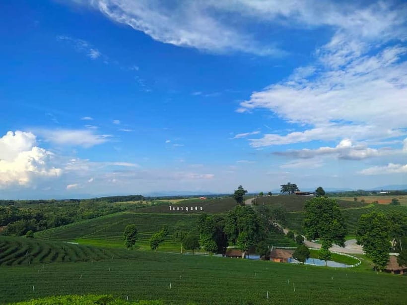 Chiang Rai: Northern Thailand Tour with Golden Triangle - Pha Hee and Pha Mi: coffee, cool air, and village life