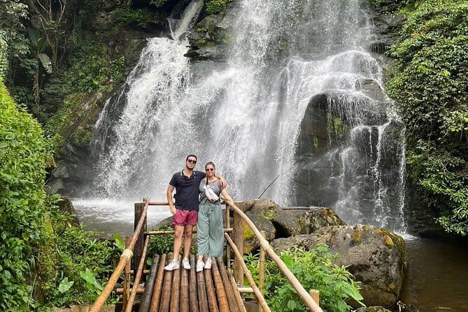 ChiangMai 1DayTour:Elephant Sanctuary,king&queen pagoda,waterfall - What Makes This Day Special