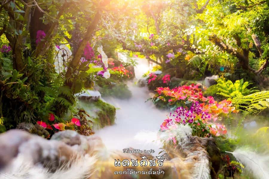 Chiangmai to Chiangrai: 3 Temples, Hot Springs& Lalitta Cafe - Key points before you book
