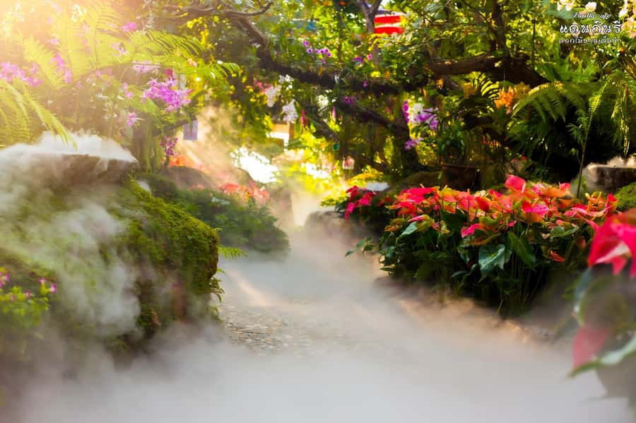 Chiangmai to Chiangrai: 3 Temples, Hot Springs& Lalitta Cafe - The Blue Temple, Wat Rong Suea Ten