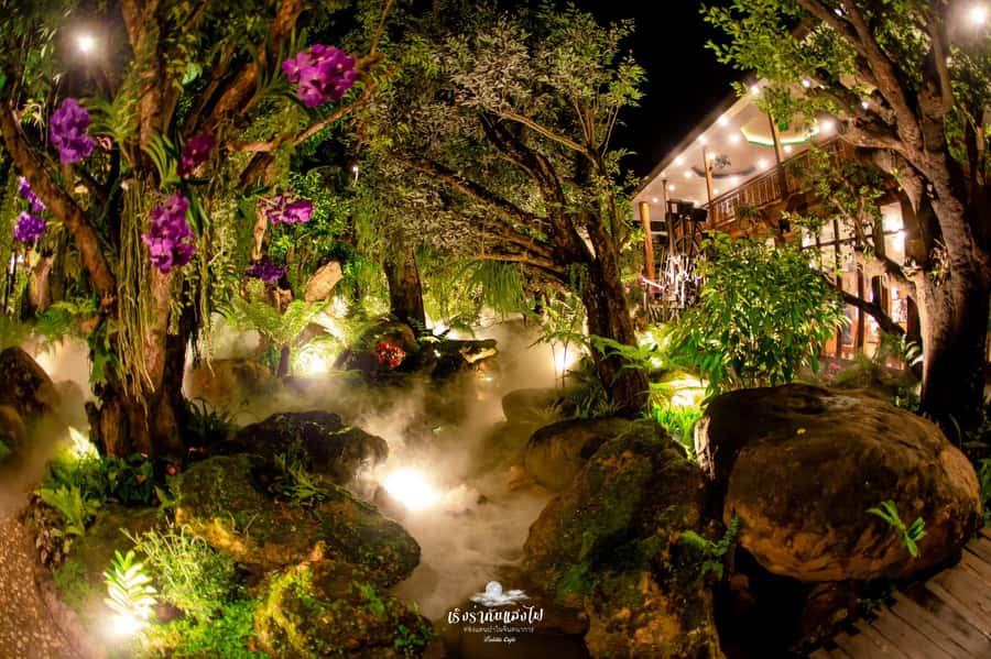 Chiangmai to Chiangrai: 3 Temples, Hot Springs& Lalitta Cafe - Guides, drivers and the value of the service