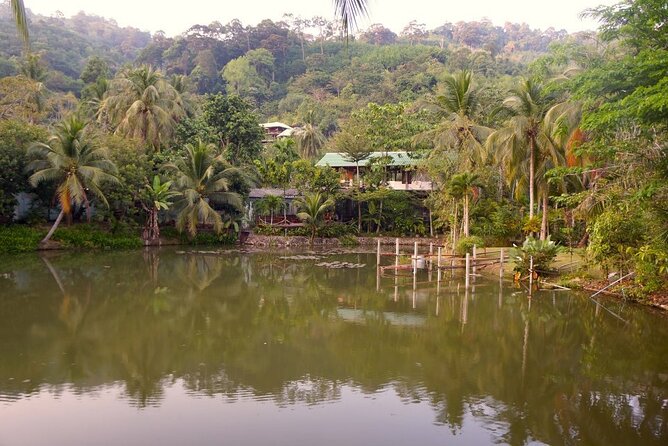 Choose Your Own Dishes: Half-Day Thai Cooking Class in Phuket - Picking four dishes from the menu