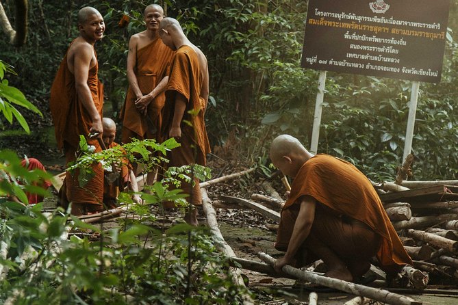 City Escape: Doi Inthanon & Karen Village Private Day Trip - Walking through Doi Inthanon National Park