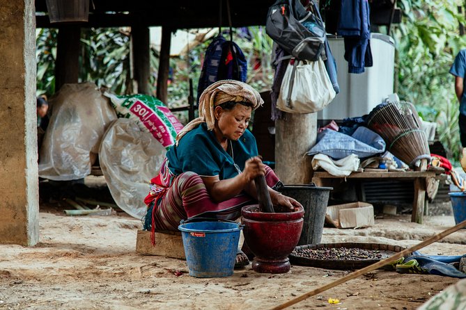 City Escape: Doi Inthanon & Karen Village Private Day Trip - What the $224.94 price really buys