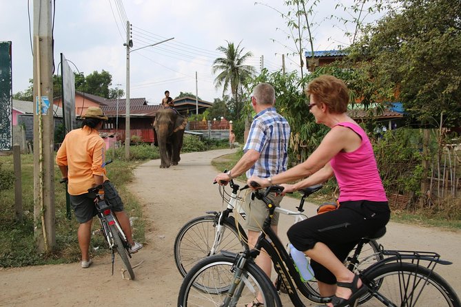 Colors of Ayutthaya Full-Day Bike Tour - Riding through the Historic City of Ayutthaya