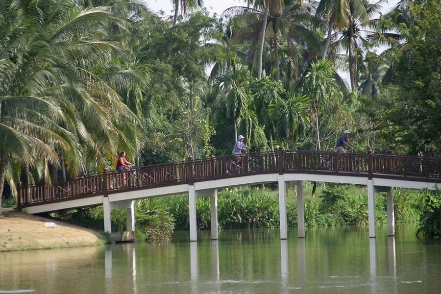 Colors Of Bangkok: 4-Hour Small Group Bike Tour - Who will enjoy this Bangkok bike tour