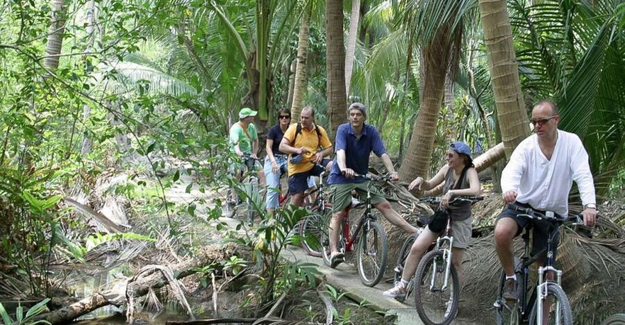 Colors Of Bangkok: 4-Hour Small Group Bike Tour - Crossing the Chao Phraya to Bang Krachao