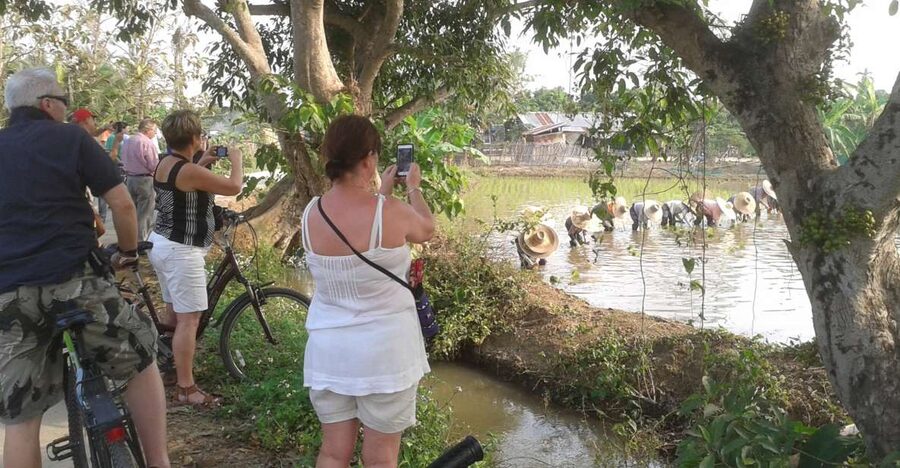Colors of Chiang Mai Guided Bicycle Tour - What makes this Chiang Mai bike ride worth considering