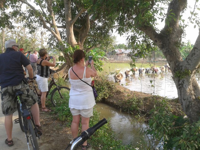 Colors of Chiang Mai Guided Bicycle Tour - Rice fields, orchards, and village work