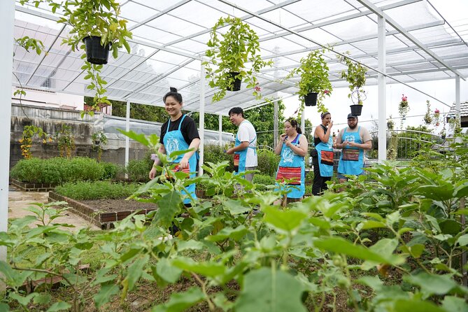 Cooking Class with Organic Farm in Chiang Mai at Mama Noi - From your Chiang Mai hotel to a local market