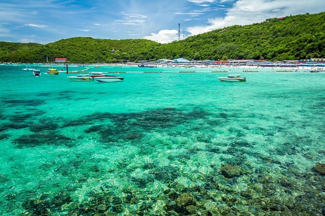 Coral Island Pattaya: Indian Lunch, Transfer (India Travelers) - Key Points to Know Before You Book