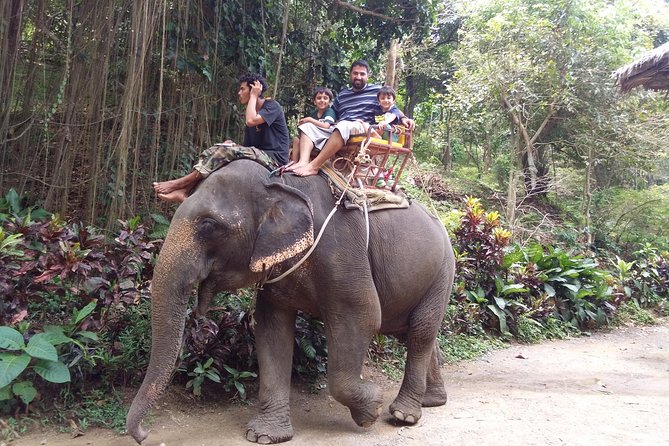 Customized Phuket Tours with Private Driver - Vehicle comfort and practical extras