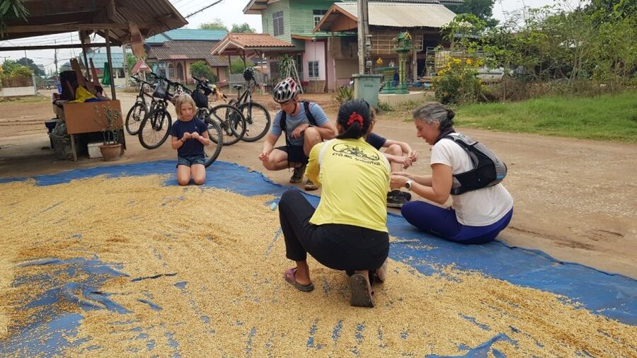 Cycling Sukhothai Full Day Countryside Tour - Dirt Roads Through Rice Paddies