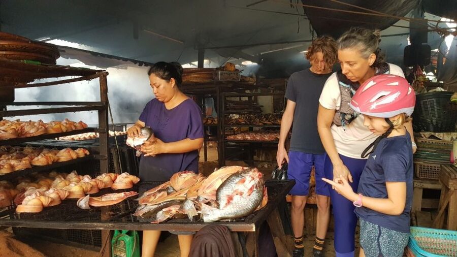 Cycling Sukhothai Full Day Countryside Tour - Rice Mills, Whisky, Fish, and Mushrooms